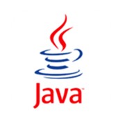 Java Virtual Machine官方版下载v8.3.165.0