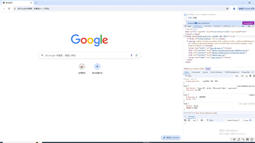 谷歌浏览器(google)2024最新版